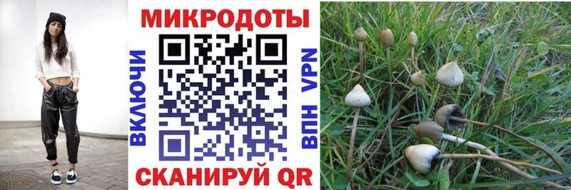 Псилоцибиновые грибы Cubensis  Ивантеевка 